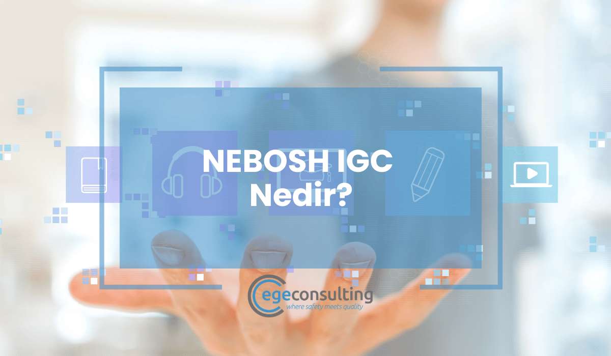 Featured Image Ege Consulting