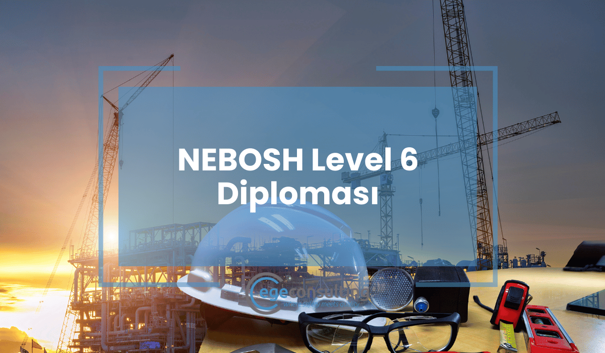 NEBOSH Level 6 Diplomasi image