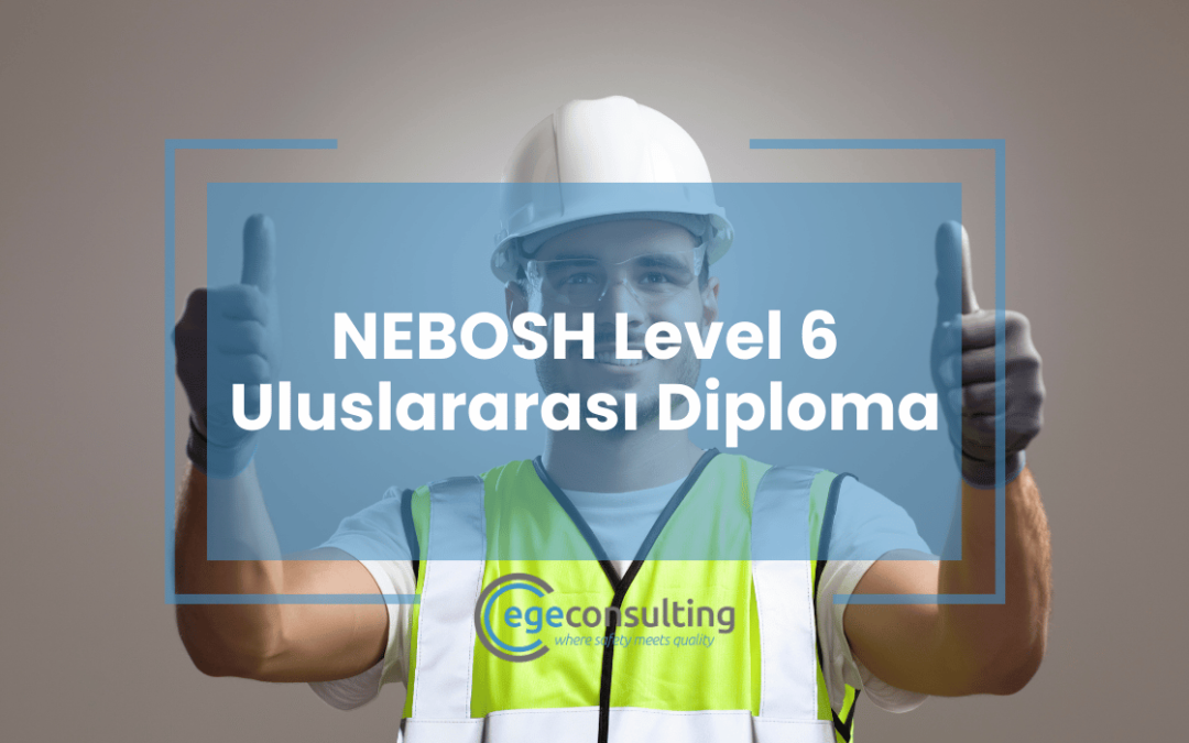 NEBOSH Level 6 International Diploma for Occupational Health and Safety ...