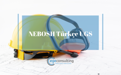 NEBOSH Türkçe UGS