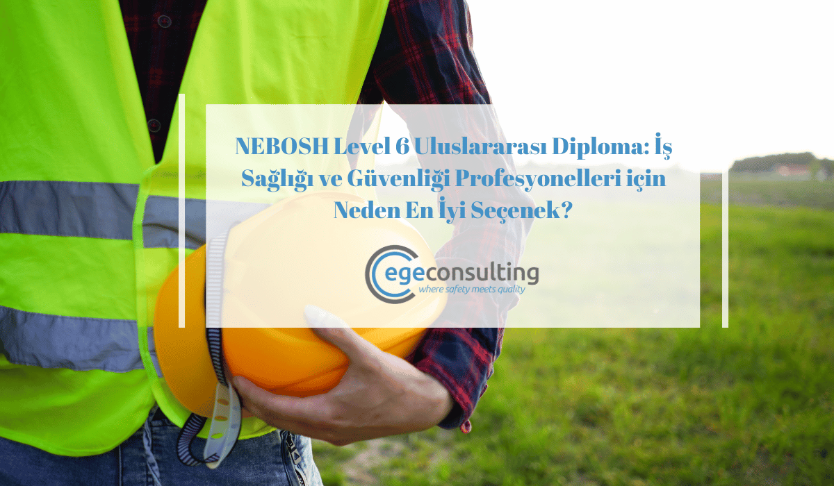 NEBOSH Level 6 Uluslararasi Diploma