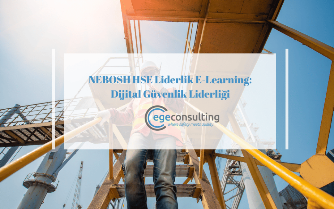 nebosh hse liderlik e learning dijital guvenlik