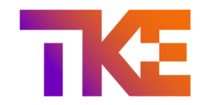 113 tk asansor